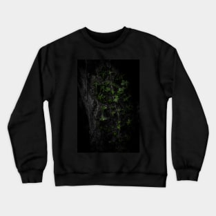 Selective-Colour Ivy Crewneck Sweatshirt